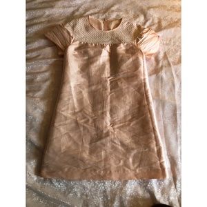 pink silver cloth dress with decent details